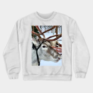 Lapland Crewneck Sweatshirt